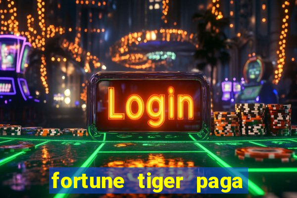 fortune tiger paga de madrugada